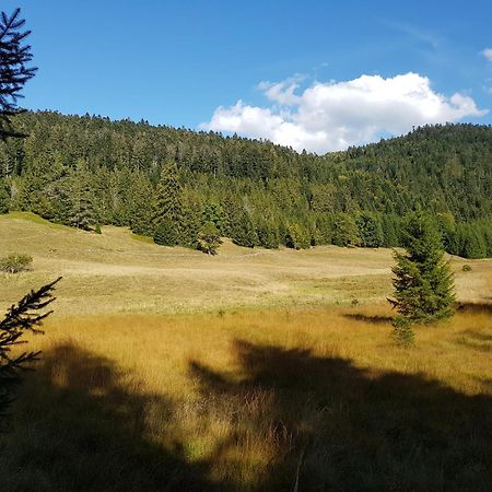 Chalet Biazot Ксорюпт-Лонжме Экстерьер фото